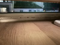 IMG_5456.jpeg