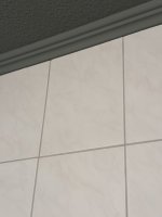 IMG_5460.jpeg