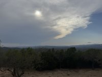 IMG_5428.JPEG