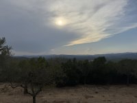 IMG_5442.JPEG