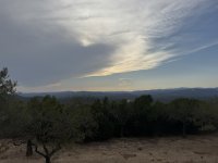 IMG_5445.JPEG