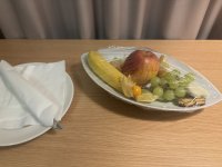 IMG_2974.jpeg