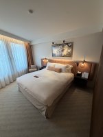 sofitel4.jpeg