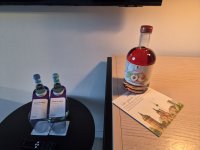 Radisson Mannheim Welcome.jpg