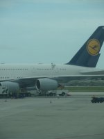 A380 in Miami II..jpg