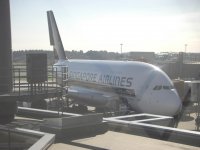 2010 09 Tokyo 206.jpg
