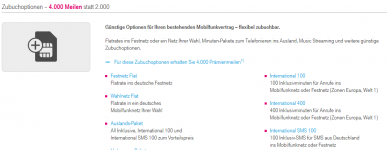 telekom_optionen.PNG