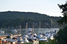 TR_Brentwood Bay.jpg