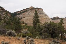 Checkerboard Mesa Zion NP.JPG