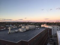 IMG_1266.jpg