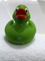 Ente Hilton Berlin.jpg