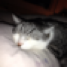 quattro30v
