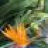Dreaonline