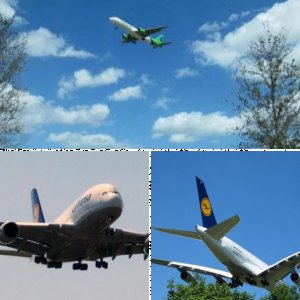 Alles was fliegen kann