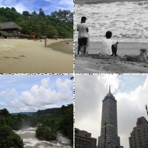 MEX 2010