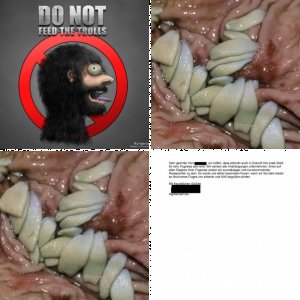 Troll