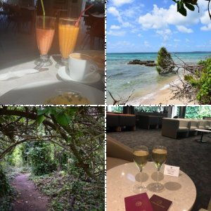 Flitterwochen Tonga