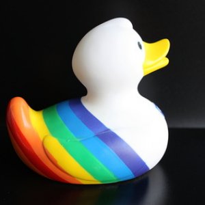 Schwule Ente