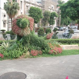 Blumenschmuck in Taipeh