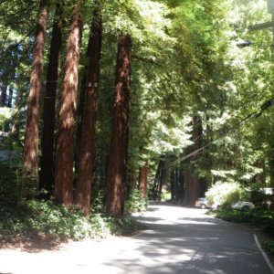 22  Old Mill Valley