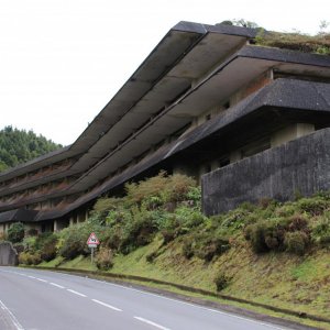 IMG 0768