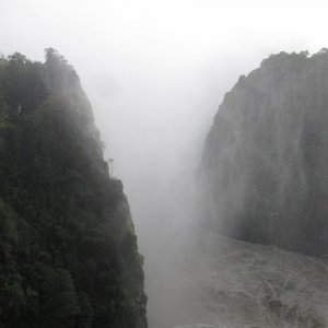 IMG 4727