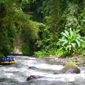 81  Ayung Rafting 3
