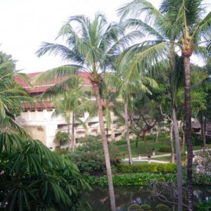 73  IC Bali 1