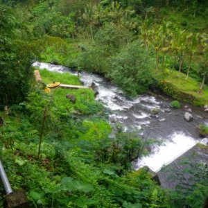 79  Ayung Rafting 1