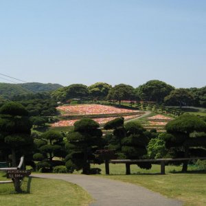 Nokonoshima Island