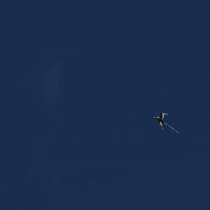 IMG 1719