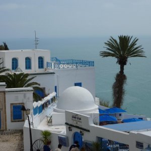 P1000733