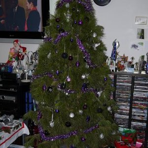 Der Baum