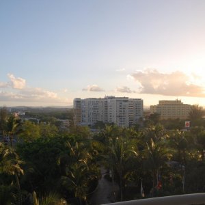 DSC 0070