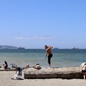 IMG 4385