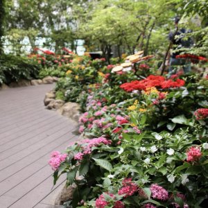 IMG 4514