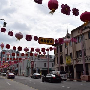 DSC 0800