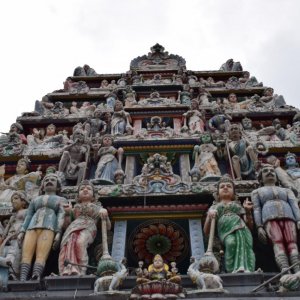 DSC 0808