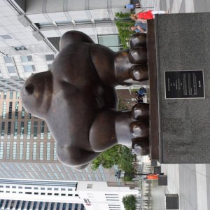 DSC 0825