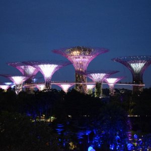 IMG 20200412 WA0055
