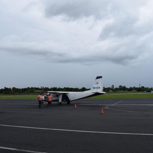 DSC 0917