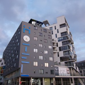 IMG 2717