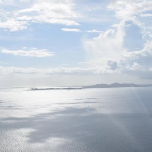 DSC 0196
