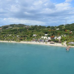 DSC 0210