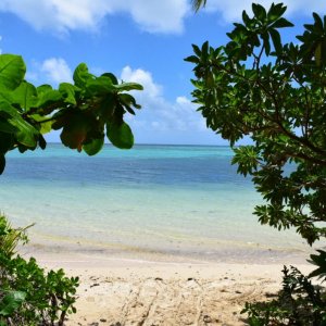 IMG 20200412 WA0011