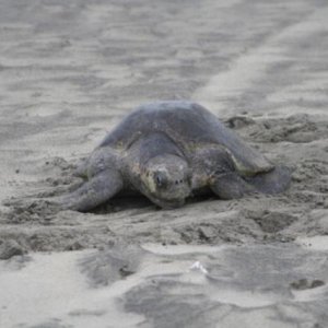 2010 08 Mexico 527