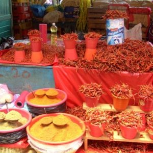 BILD4769