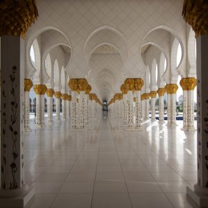 IMG 0348