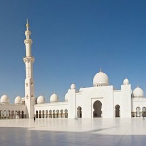 IMG 0286