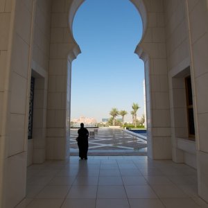 IMG 0309